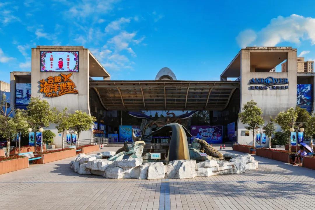 【合肥汉海极地海洋世界 · 11.11特惠】158起抢儿童月卡!