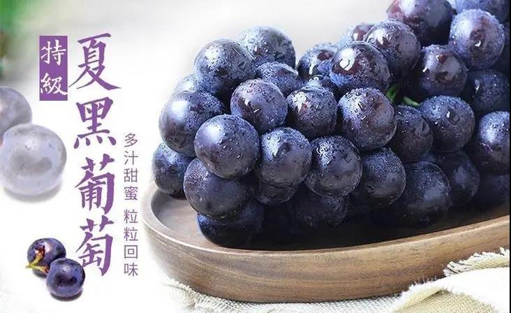 【生态园|人和】周末五一假期通用!休闲好去处!19.9元2大1小生态果园鲜葡萄现场无限时采摘,亲子互动农场新体验!