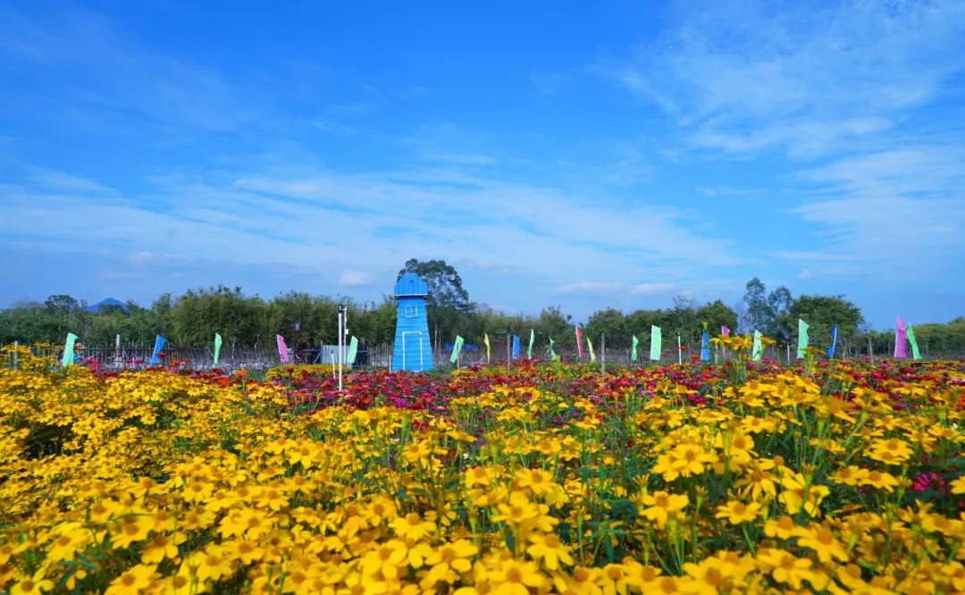 清远花海迷宫旅游度假村