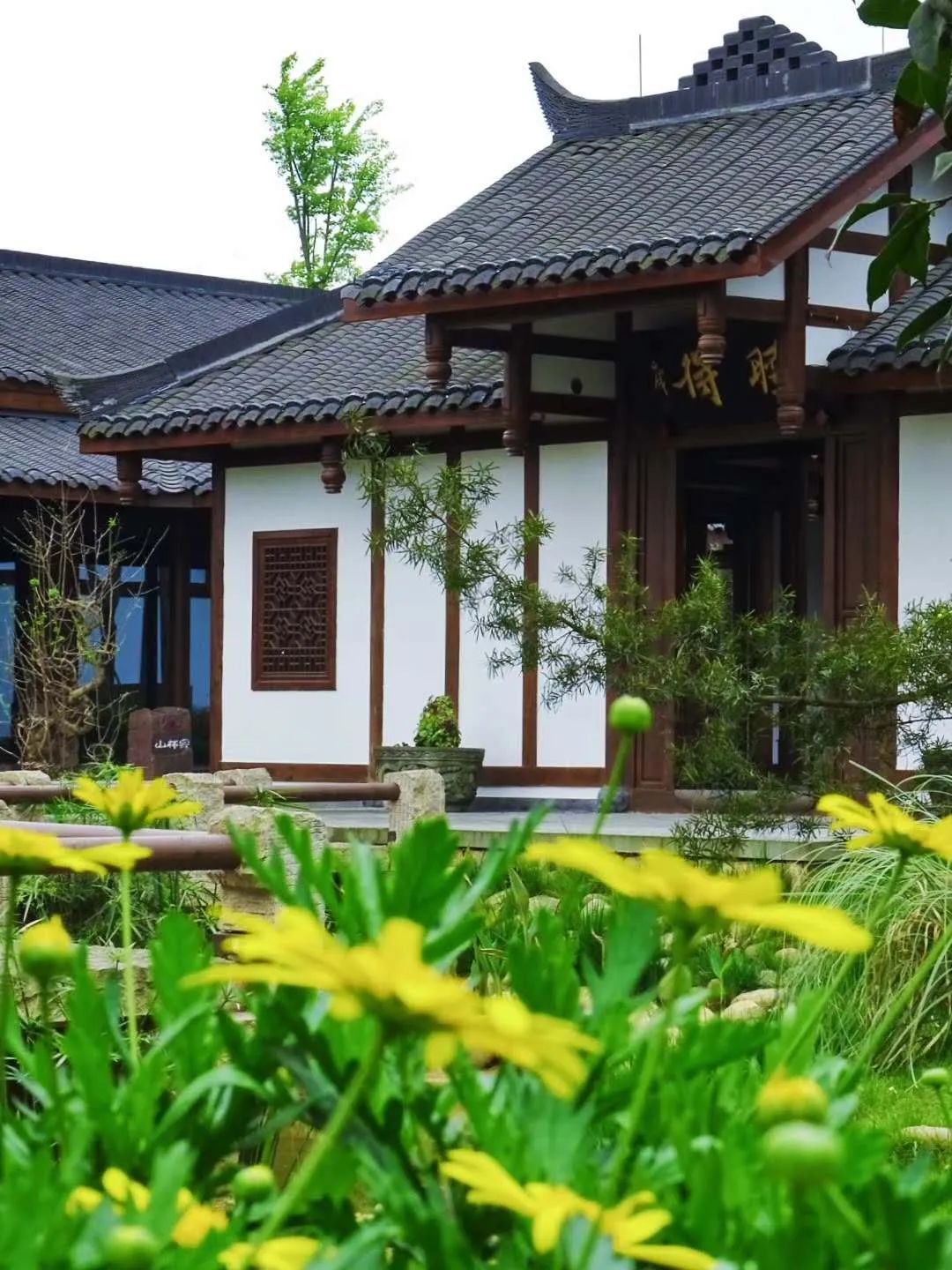 【蒲江·明月村】近郊1小时车程,现实版世外桃源!