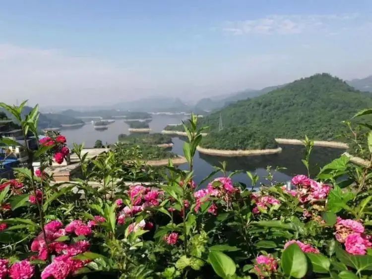 户外烧烤自助随便吃!聚会团建的不二之选!限时39.9元抢购价值108元「青裔部落」自助烧烤1位!鹿肉/大明虾/五花肉/N!任你吃