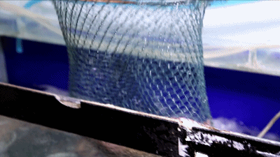 1571887412316153.gif