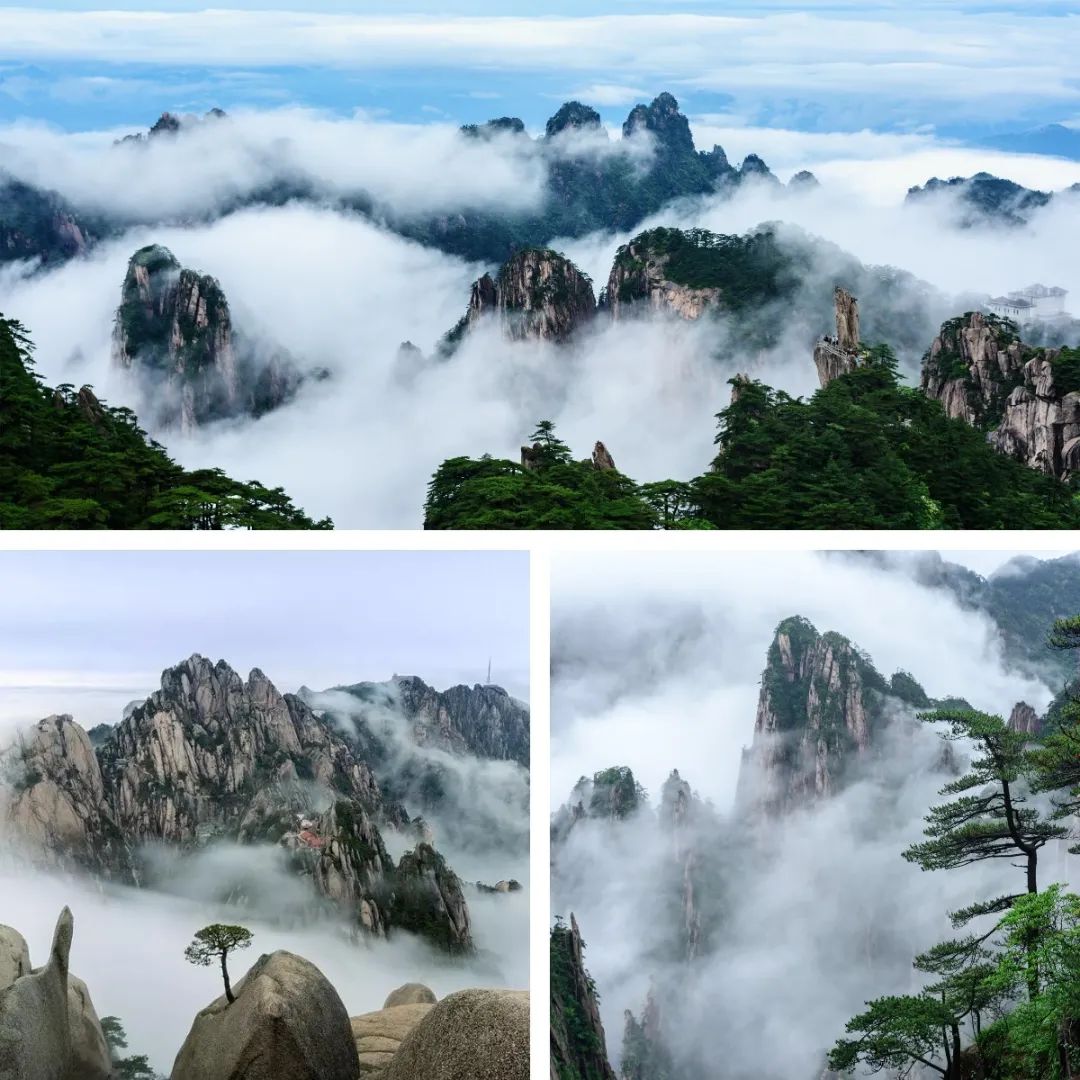 【冬游黄山丨七星奢华之旅】看云卷云舒!观日出日落!599元抢「黄山复华丽朗度假村」价值1080元套餐!双人标准间住宿+黄山门票等