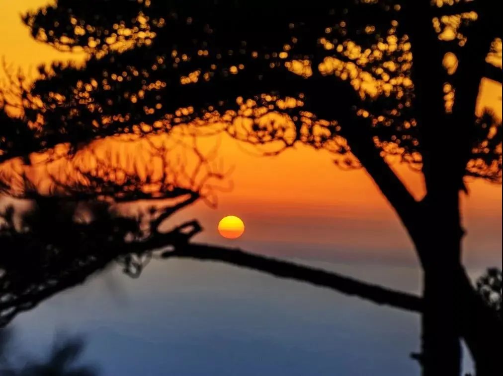 【冬游黄山丨七星奢华之旅】看云卷云舒!观日出日落!599元抢「黄山复华丽朗度假村」价值1080元套餐!双人标准间住宿+黄山门票等