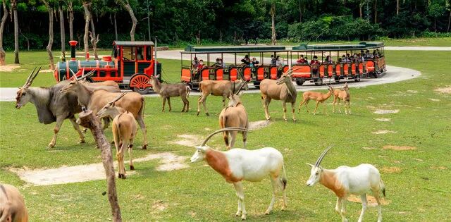 1642904490531.jpg 1642904490531.jpg