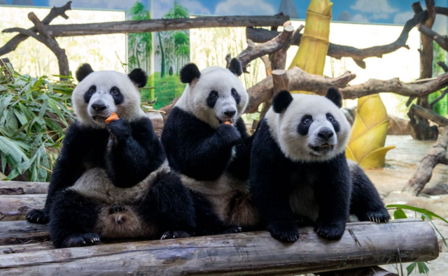 1618221703776.png 1618221703776.png