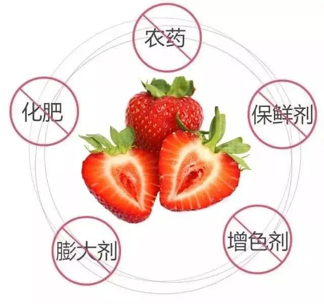 微信图片_20190315192427.jpg 【巴南区|春节周末可用】山水牧歌有机无公害草莓高甜来袭!仅39.9元抢2大1小门票=草莓采摘1斤/可带走!