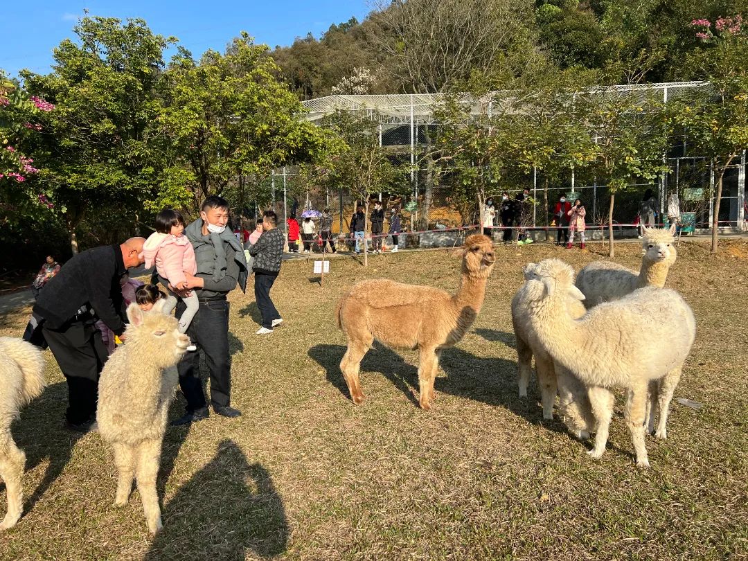 【南丹山｜雨林星空度假村】住进原始森林乐园内！尊享私家泡池~¥388抢方舟院子+两大一小南丹山门票+早餐+游乐金~使用横跨暑期！[住宿套餐]