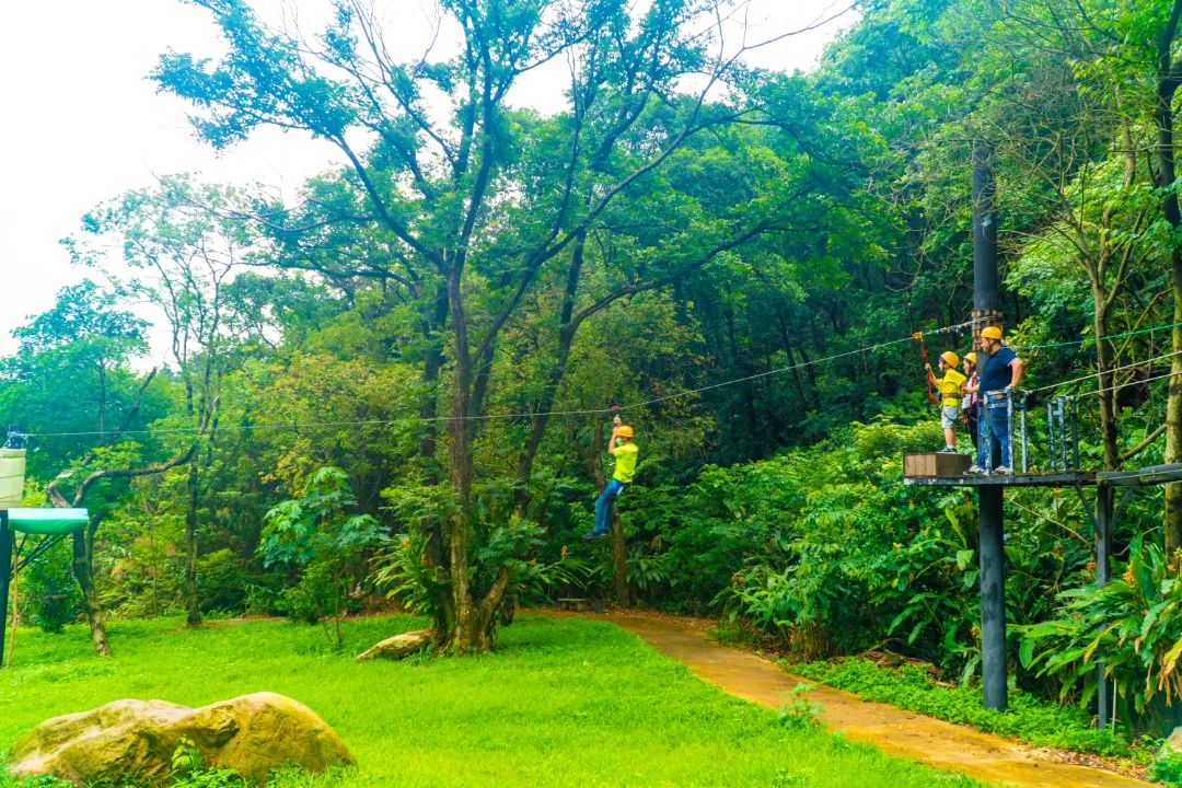 【南丹山｜雨林星空度假村】住进原始森林乐园内！尊享私家泡池~¥388抢方舟院子+两大一小南丹山门票+早餐+游乐金~使用横跨暑期！[住宿套餐]