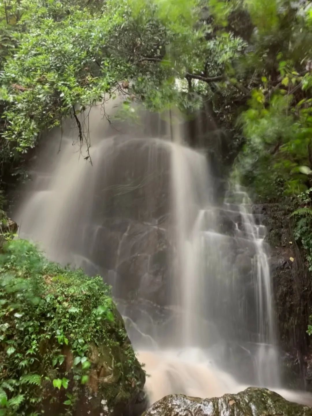 【南丹山｜雨林星空度假村】住进原始森林乐园内！尊享私家泡池~¥388抢方舟院子+两大一小南丹山门票+早餐+游乐金~使用横跨暑期！[住宿套餐]