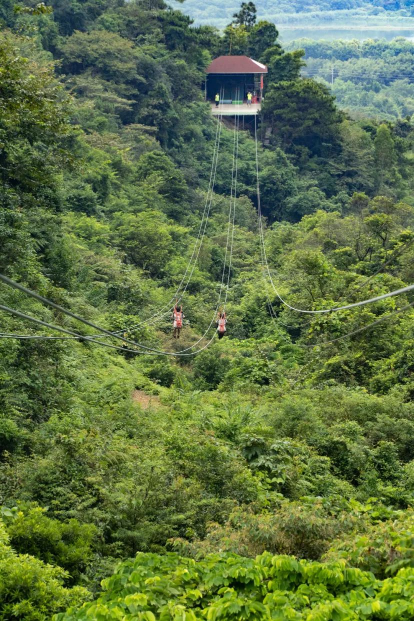 【南丹山｜雨林星空度假村】住进原始森林乐园内！尊享私家泡池~¥388抢方舟院子+两大一小南丹山门票+早餐+游乐金~使用横跨暑期！[住宿套餐]