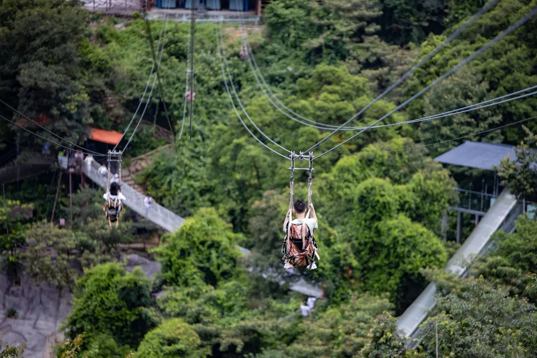 【南丹山｜雨林星空度假村】住进原始森林乐园内！尊享私家泡池~¥388抢方舟院子+两大一小南丹山门票+早餐+游乐金~使用横跨暑期！[住宿套餐]