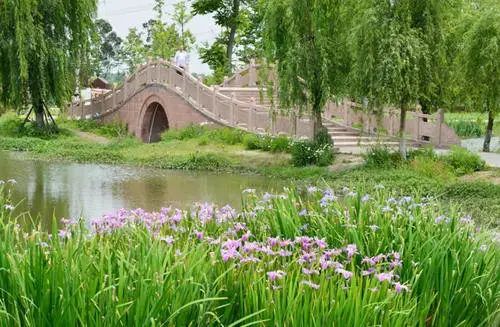 【香草湖公园|龙泉山景区|梨花溪景区3店通用|春节可用】100斤烤全牛陪你欢度牛年!¥128起抢价值328「舒心苑」水晶烤肉4人餐!¥1688=3599烤全牛!