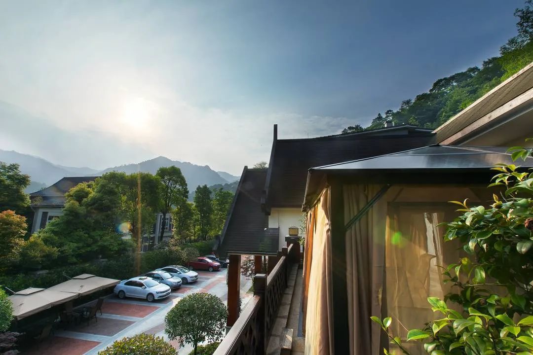 【青城山·周末不加价】10000㎡森林别墅,泡庭院山景温泉~仅499元起抢