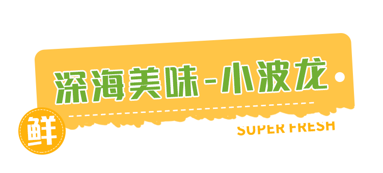 【福建|12店通用】壕吃波龙!畅玩寒假!239元抢¥367「超级物种」寒假套餐=波龙+炒饭+味增汤+精灵动物城+魔莉堡亲子乐园!